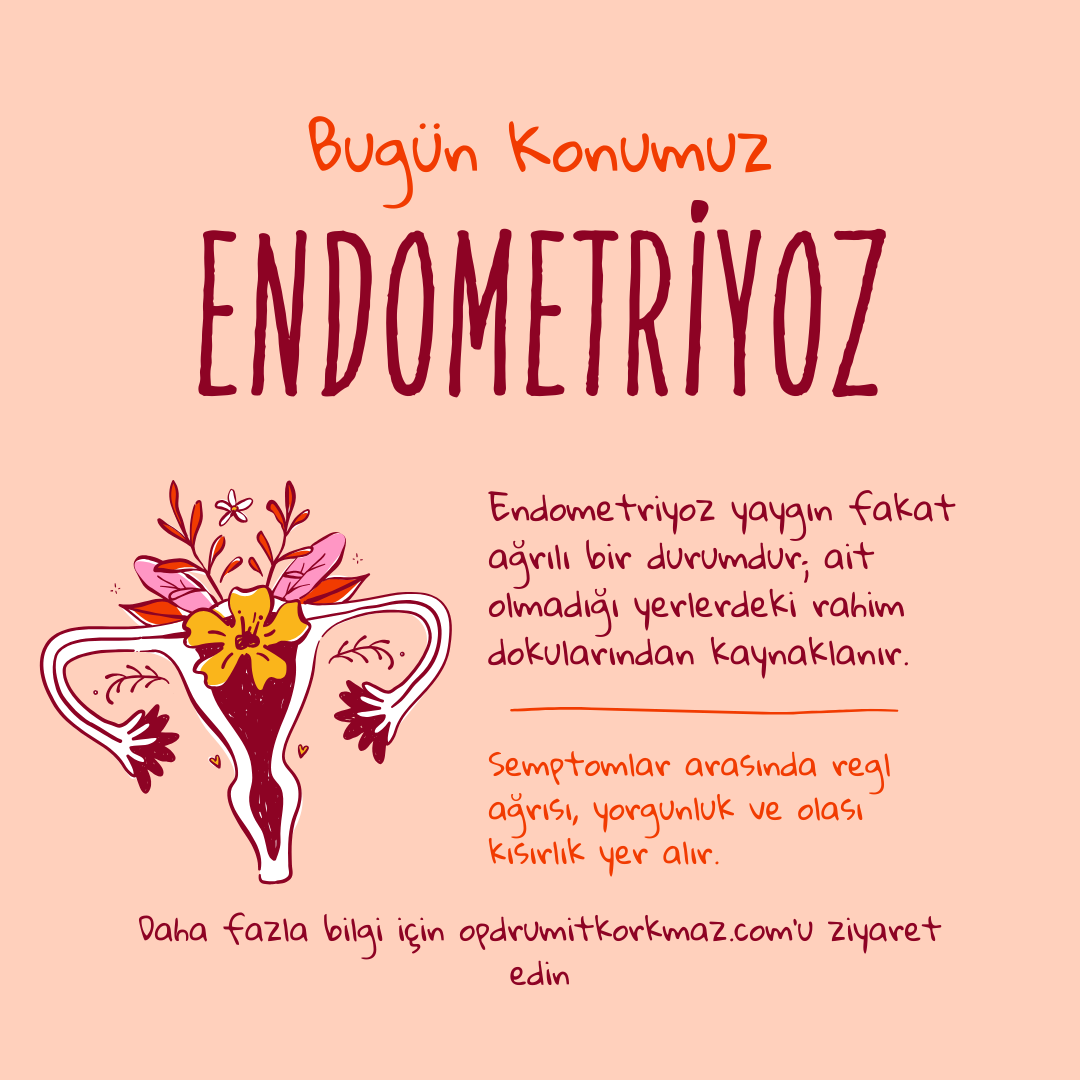 endometriyoz